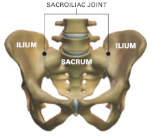 anatomie de l'articulation sacro-iliaque